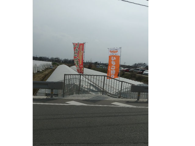 道路側からの眺望。ハウスと駐車場。こちらのスロープから降りることも出来ますが、ハウスの横を南へ100メートル歩いて入口まで行っていただく事になります_取田農園(2024年シーズン休業)