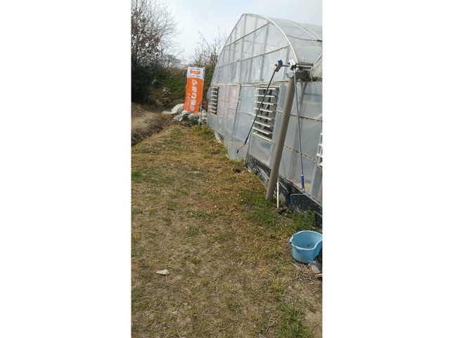 受付入口付近_取田農園(2024年シーズン休業)