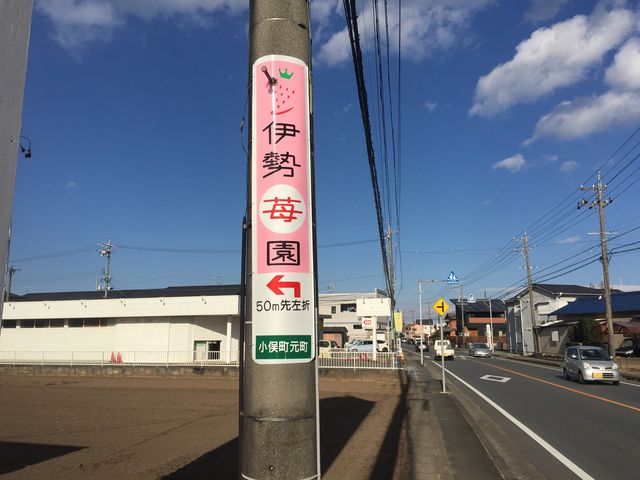 カーナビでは出ません
伊勢苺園ホームページの地図、もしくはグーグルマップを目印に_伊勢苺園