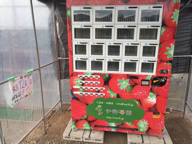 いちごの自販機は
いちご狩りの時だけでなくいつでも買えます_伊勢苺園