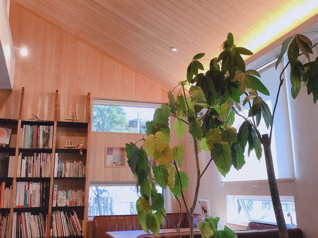 アトリエココン