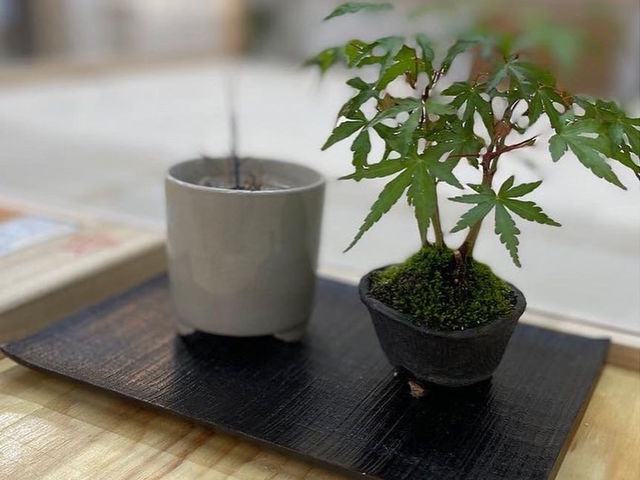 落ち着いた雰囲気の店内_志づ屋蕎麦製粉 そば打ち体験