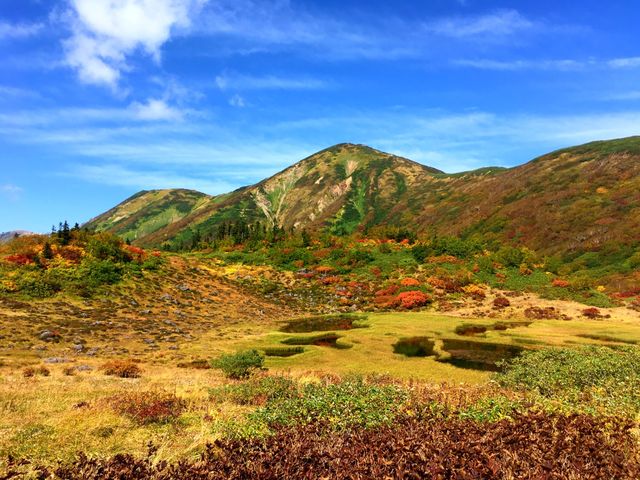 火打山・天狗の庭トレッキング_しなのディスカバリー