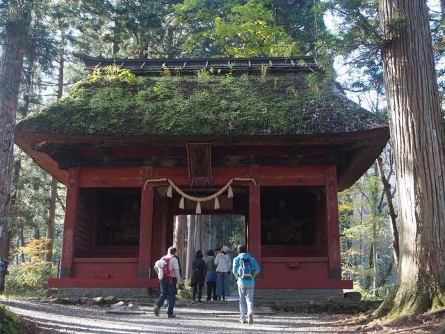 戸隠古道巡りウォーキングツアー_しなのディスカバリー