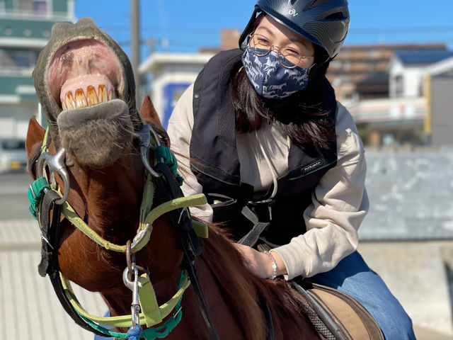 変顔中のお馬さんとお写真も撮れるかも!?_ホーストレッキングファーム三浦海岸