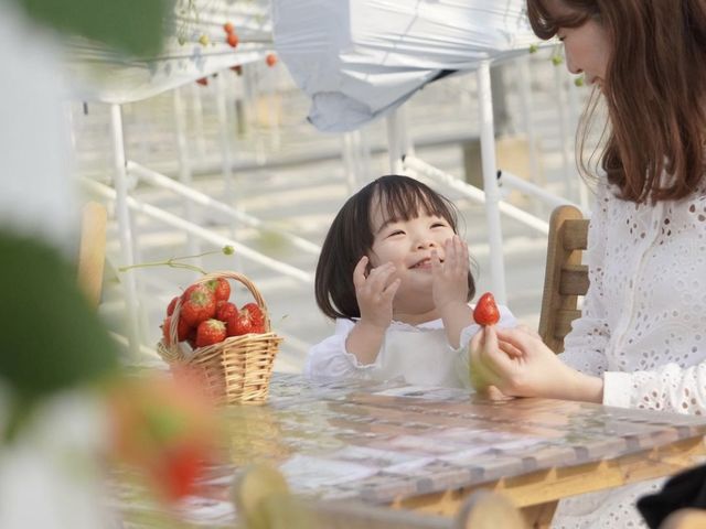 すまいるベリーズ長久手