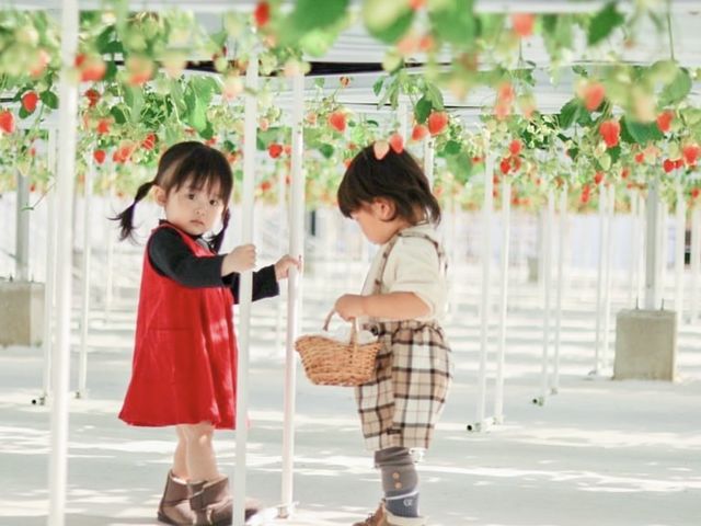 すまいるベリーズ長久手