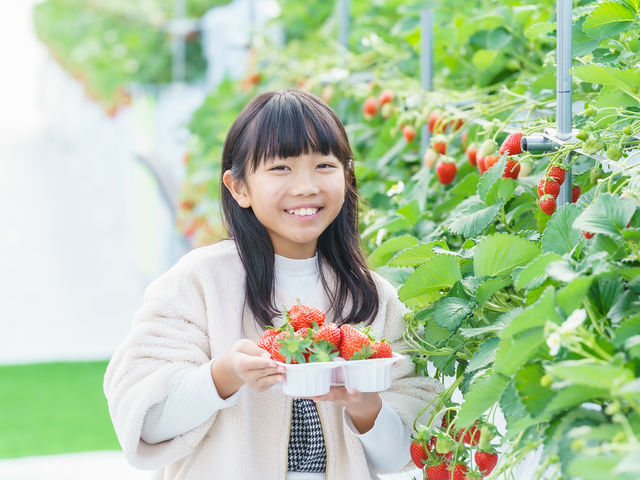 はなのかファーム