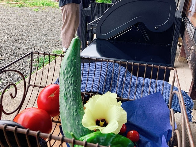 畑のお野菜収穫しましょう。この日はオクラの花のおひたしが前菜。積み立てトマトときゅうりのサラダ。茄子とピーマンはバーベキューに。_宙と廷