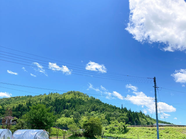 風が通り抜けます。
エアコンなしで充分涼しくすごせます。_宙と廷