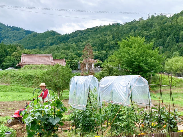 小さな畑ですが季節の野菜を収穫して
BBQやピザで。
_宙と廷