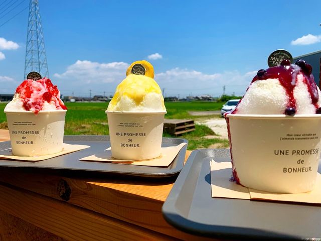 暑い日には、フワフワなかき氷もご用意しています♪_MILAND FARM