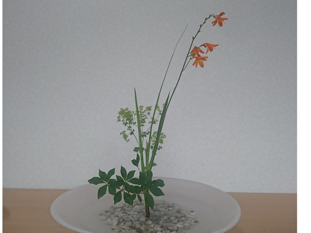 いけばなのお稽古です。生徒さんの作品です。いけばなは、季節を大切にしますので、その時、お庭に咲いていたお花などをご持参いただいて、楽しんでいただいております。_千渓 SENKEI