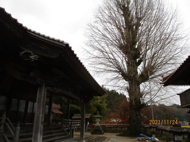 西教寺