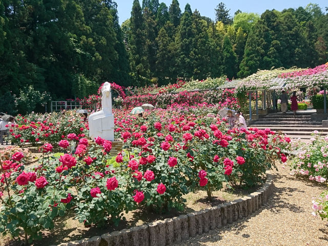 霊山寺
