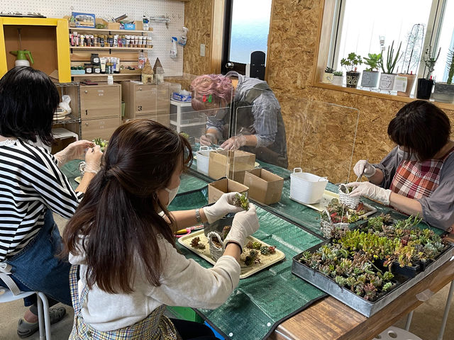 楽しくおしゃべりしながら寄せ植え中。癒しの時間。_すみっこGarden