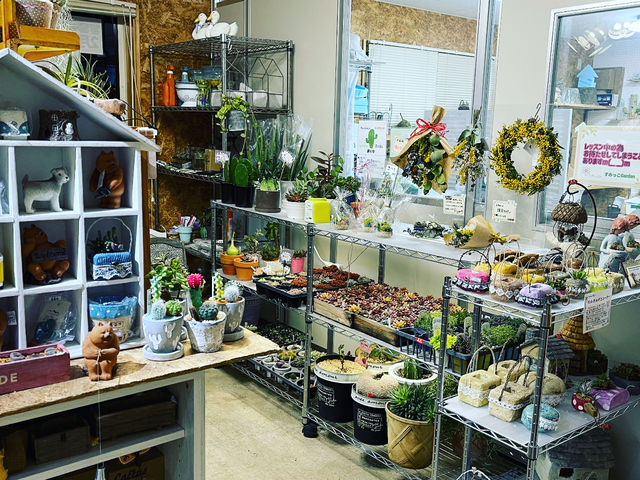 隣は多肉植物のお店です。雑貨も売っております。
_すみっこGarden