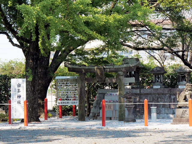 白峯神社