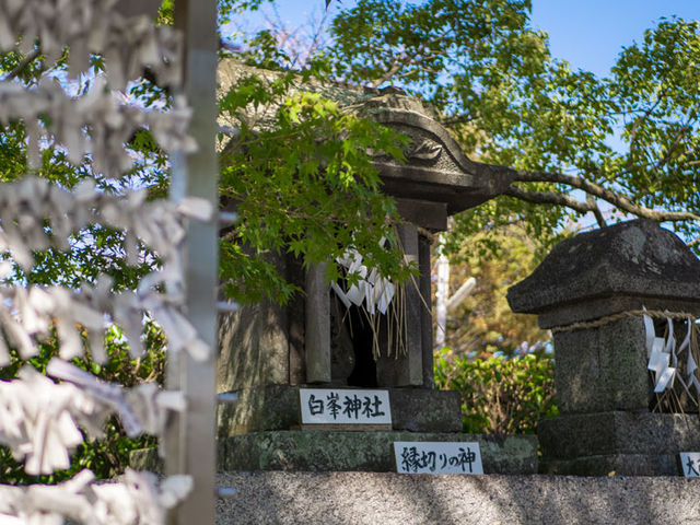 白峯神社