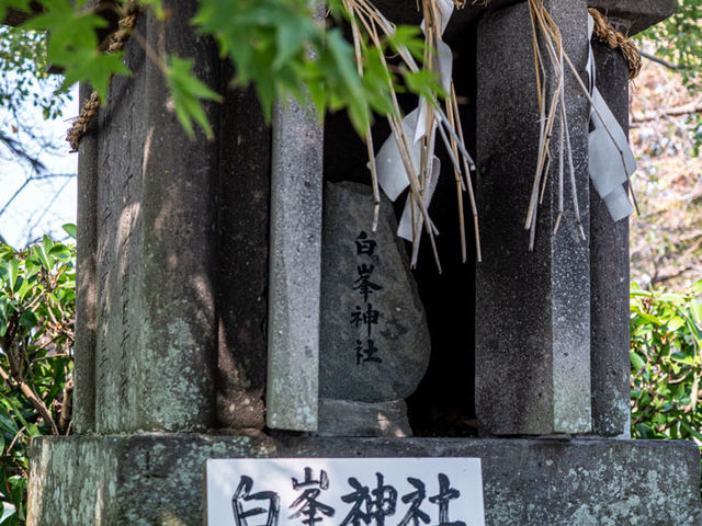 白峯神社