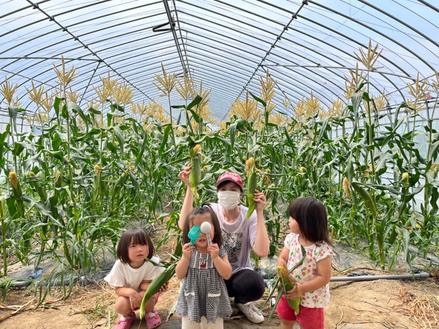 よってこファーム