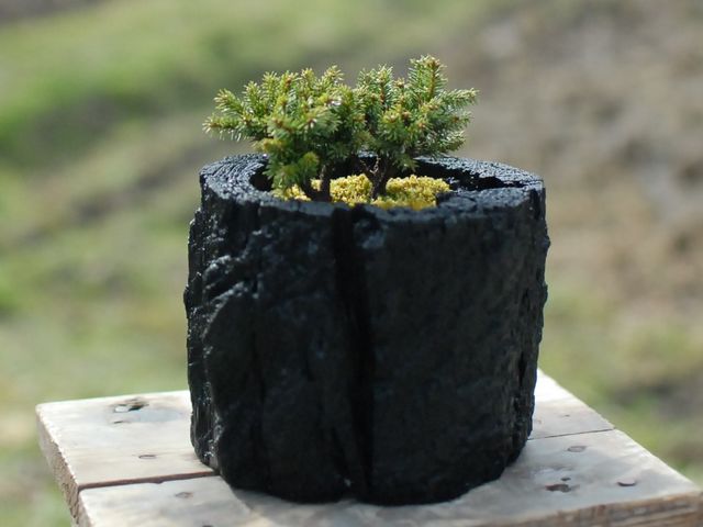 自然体験GreenGiftOutdoorsNagano