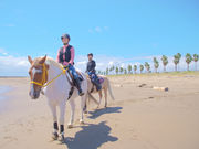 海の乗馬倶楽部エルカバージョの写真2