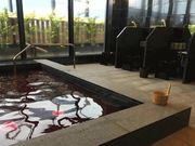 HOTTEL BAYGULLS ホテルベイガルズの写真2