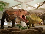 愛媛県総合科学博物館の写真2