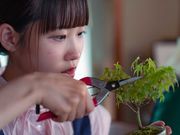 丸園の写真2