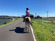 PONY PLUSの写真2