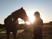 PONY PLUSの写真4