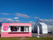 べり果 strawberryparkの写真3