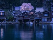 伊根たびの写真3