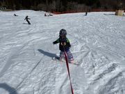 Paradise cafe 真野の写真4