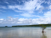 西表島サロンドローズの写真2