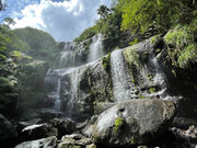 西表島サロンドローズの写真4