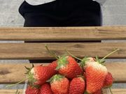 ここいろfarmの写真4
