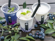 Blueberry HILLS あつぎの写真4