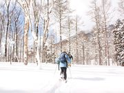 しなのディスカバリーの写真3