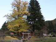 光八幡宮の写真1