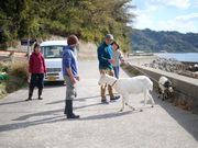 特定非営利活動法人農音の写真2