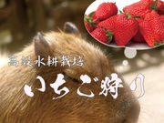 ファーム八千代の写真2