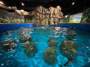 釣って見つけるぼうけんの国 相模原上溝店の写真3