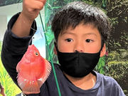 釣って見つけるぼうけんの国 相模原上溝店の写真4