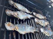 中伊豆フィッシュファーム マス釣り場の写真2