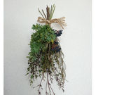 千渓 SENKEIの写真3