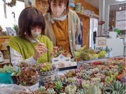 すみっこGardenの写真2
