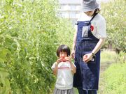 Betty's FARMの写真3