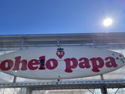 いちごガーデン'ohelo papa'(オヘロパパ)の写真3